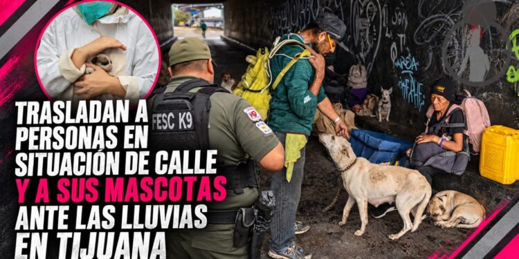 No los dejan atrás: trasladan a personas en situación de calle de la canalización y a sus mascotas ante las lluvias en Tijuana