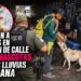 No los dejan atrás: trasladan a personas en situación de calle de la canalización y a sus mascotas ante las lluvias en Tijuana