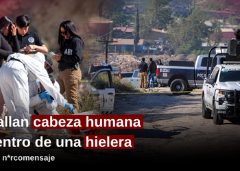 Hallan cabeza humana dentro de una hielera con narcomensaje en el Altiplano; contenía un mensaje con amenazas