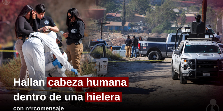 Hallan cabeza humana dentro de una hielera con narcomensaje en el Altiplano; contenía un mensaje con amenazas