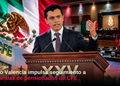 DAN VISTA A LA CÁMARA DE DIPUTADOS FEDERAL DE LOS PLANTEAMIENTOS PRESENTADOS POR PERSONAS JUBILADAS Y PENSIONADAS DE LA CFE