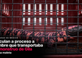 Vinculan a proceso a hombre que transportaba un monstruo de Gila en una maleta
