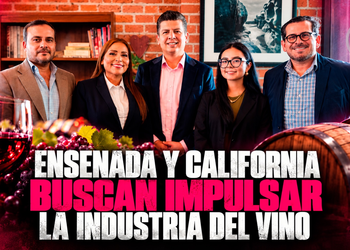 Ensenada y California buscan impulsar la industria del vino